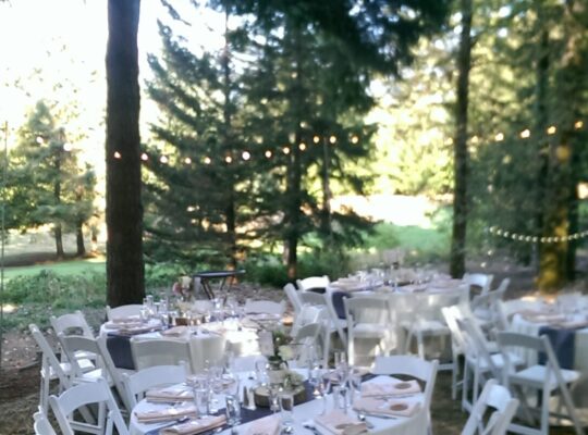 Banquet Server