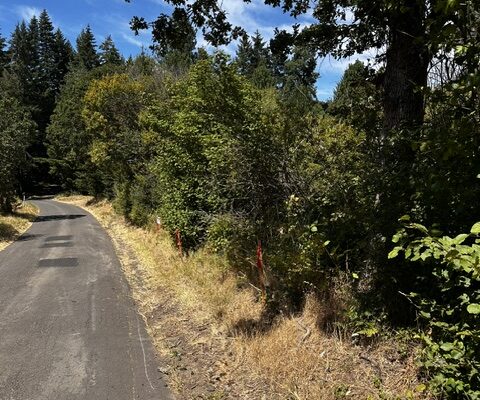 .6+ acres water & power available