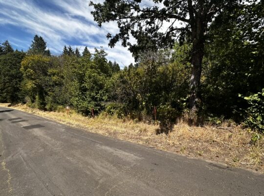 .6+ acres water & power available