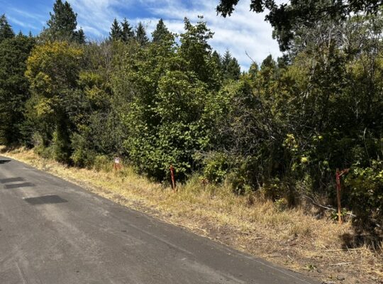 .6+ acres water & power available