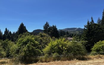 .6+ acres water & power available