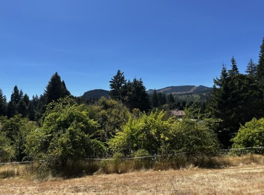 .6+ acres water & power available