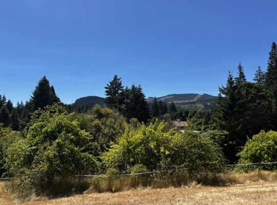 .6+ acres water & power available