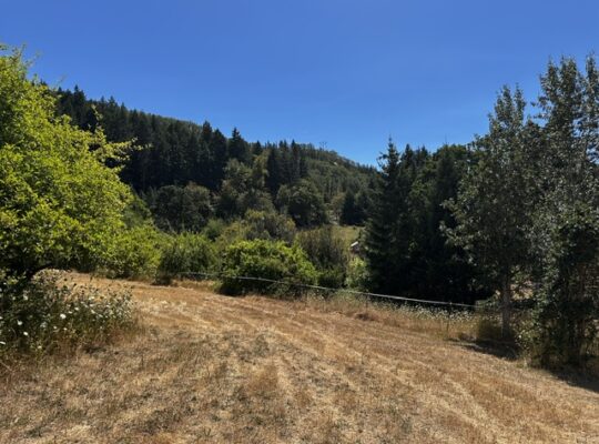 .6+ acres water & power available