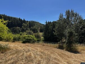 .6+ acres water & power available